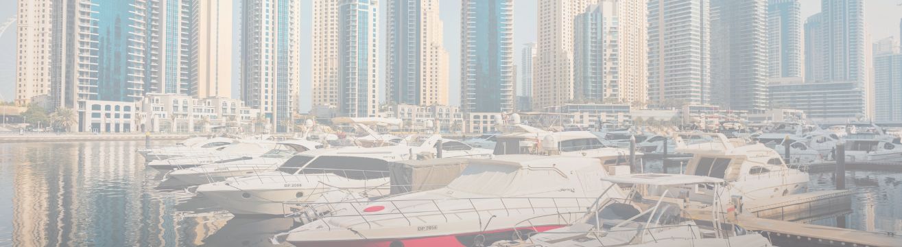 Dubai Free Zone Company setup